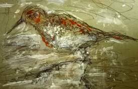 Sandpiper