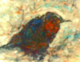 Passerine