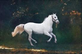 Forest White Horse