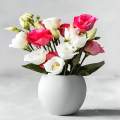 Small White Vase with White and Red Roses