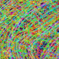 confusion spaghetti