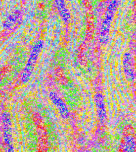 folds of a serpent