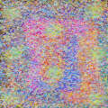 illusion