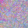 inversion diversion