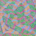 spasm