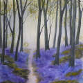 Bluebell Woods