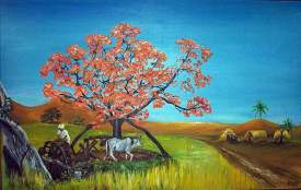 Indian Flame Tree