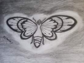 Moth landing
