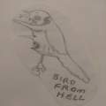 Bird from hell / faces on the wall