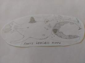 Fancy legless hippo / faces on the wall