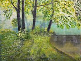 Green Forest Near Stream
