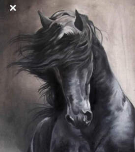 Stallion 
