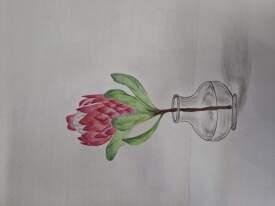 Botanical art