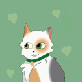 Catttt 