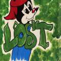 Lost Wakko