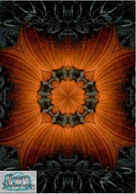 Pumpkin Kaleidoscope 