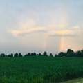 Rainbow in the skies 