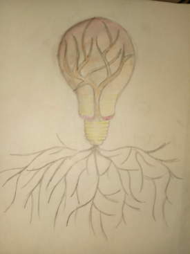 lightbulb