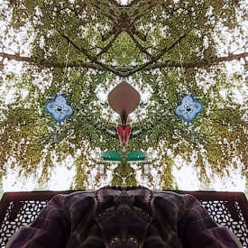Intricate Images7