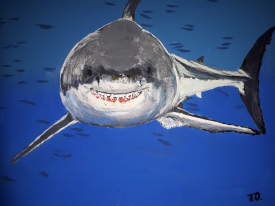 Great white shark