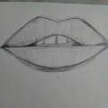 Realstic lips