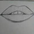 Realstic lips