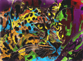 Colorful leopard