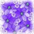 Purple flowers