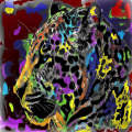 Jaguar in color