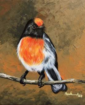 Red capped bird