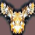 Bird of Pray
