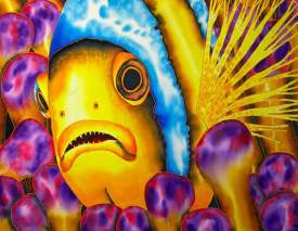 Yellow Clownfish