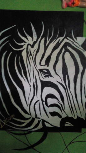 Zebra bicolor