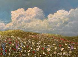 Meadow World 