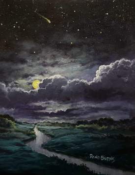 The Silence Of A Falling Star