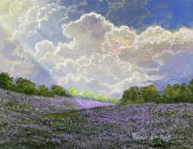 Sea Of Henbit. 