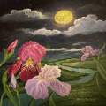Irises On. A Blue Moon Night