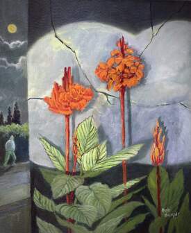 Passerby. Night Of The Canna. 