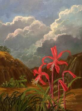 Jacobean Lily Of Mexico 