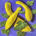 Yellow Squash. Violet And Yellow Harmony. 