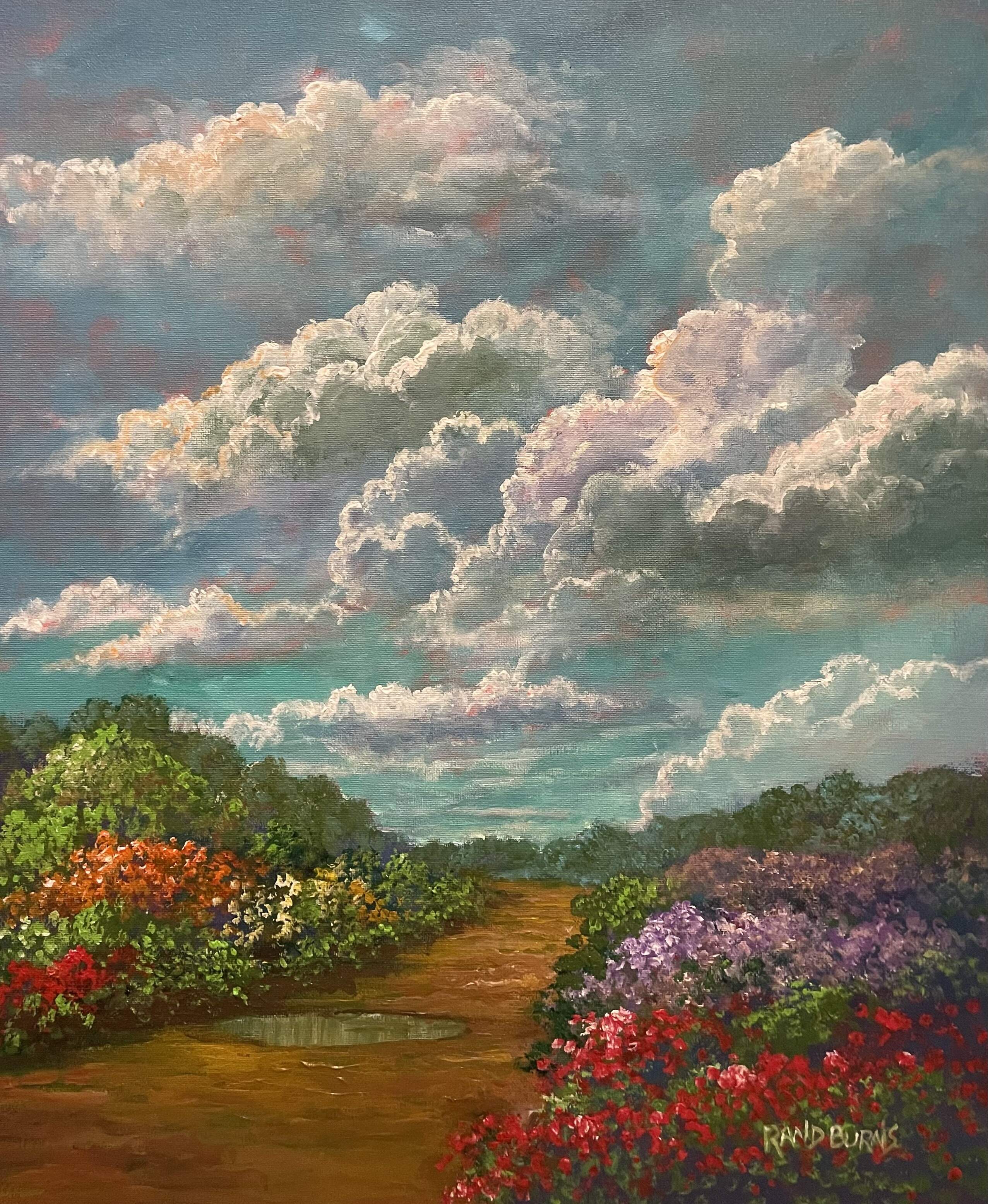 Of Summertime Clouds, Puddles And Flowers 