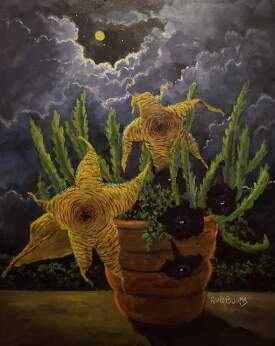 Stars Of The Night
