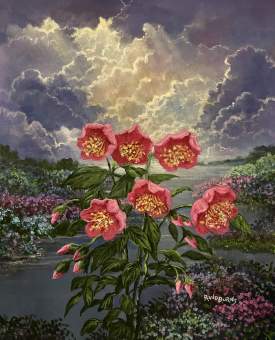 Rhapsody Of Light, Love And Wild Roses