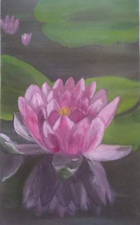 Lotus flower