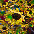 Sunflower Collage