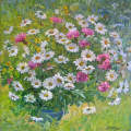 Bouquet of Daisies in the garden