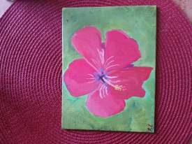 Hibiscus