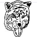 Tiger with a strange nose