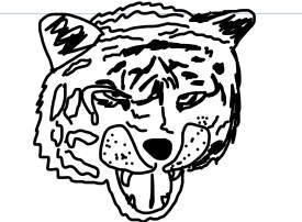 Tiger with a strange nose