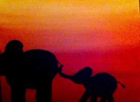Elephants at dawn